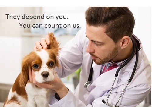 financial-planning-for-veterinary-professionals